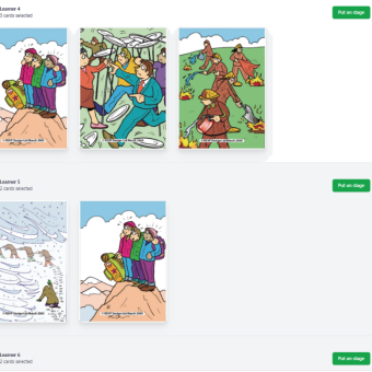 Facilitator view of Stage 2 Images of Organisations (online version) activity