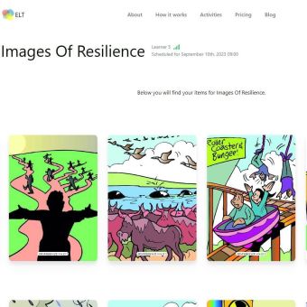 Images of Resilence (online version) Participant View Stage 1