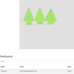 Seeing the Point (online version) - facilitator view2