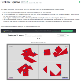 Sample image of screen view presented to participants for Broken Squares (online version)